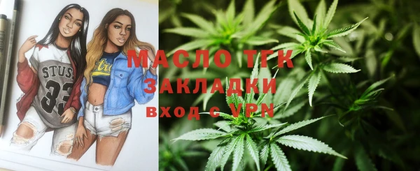 ECSTASY Медногорск