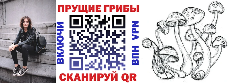 это состав  Сертолово  Галлюциногенные грибы прущие грибы 