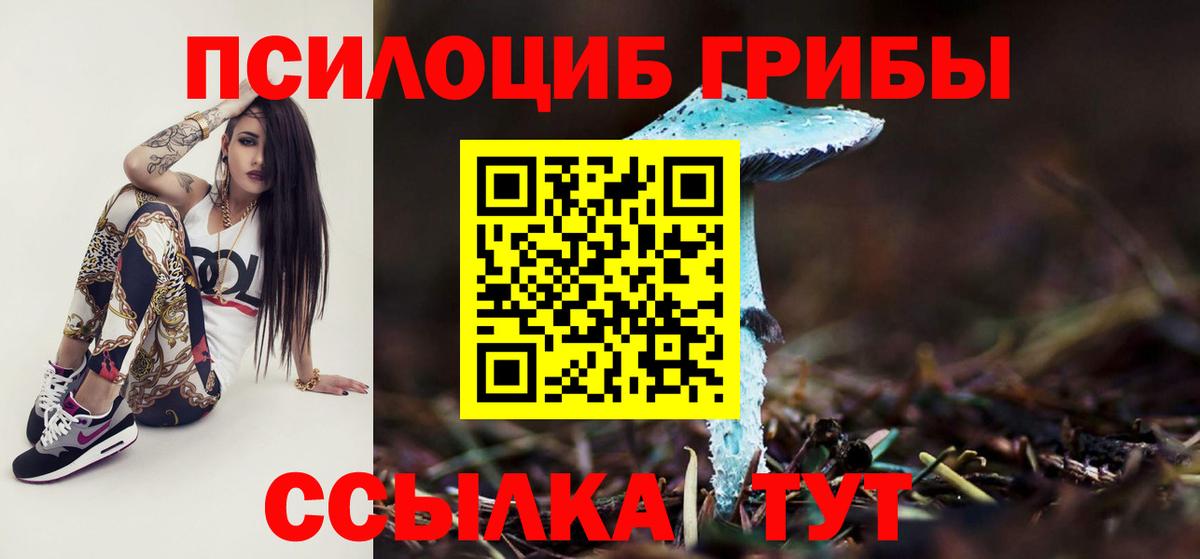 Сертолово  Псилоцибиновые грибы Psilocybine cubensis  Вход с VPN  Галлюциногенные грибы Magic Shrooms 
